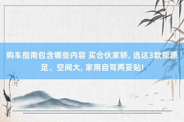 购车指南包含哪些内容 买合伙家轿, 选这3款能源足、空间大, 家用自驾两妥贴!