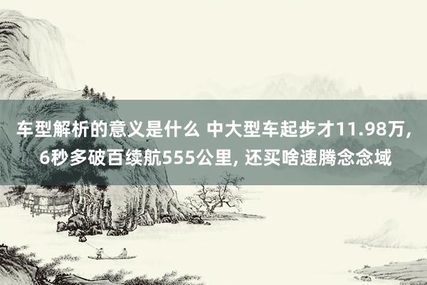 车型解析的意义是什么 中大型车起步才11.98万, 6秒多破百续航555公里, 还买啥速腾念念域