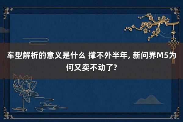 车型解析的意义是什么 撑不外半年, 新问界M5为何又卖不动了?