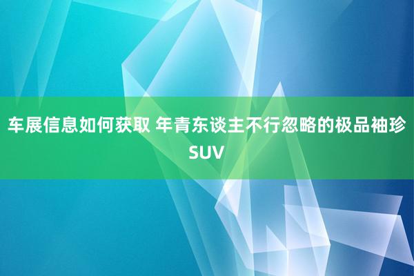 车展信息如何获取 年青东谈主不行忽略的极品袖珍SUV