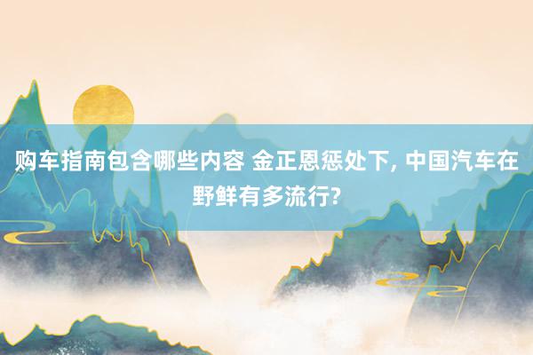 购车指南包含哪些内容 金正恩惩处下, 中国汽车在野鲜有多流行?