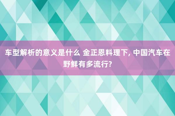 车型解析的意义是什么 金正恩料理下, 中国汽车在野鲜有多流行?