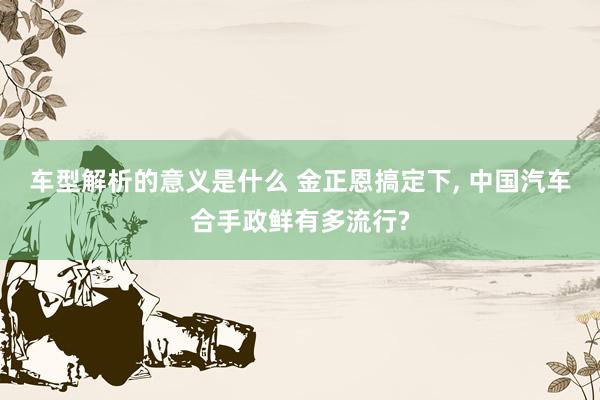 车型解析的意义是什么 金正恩搞定下, 中国汽车合手政鲜有多流行?