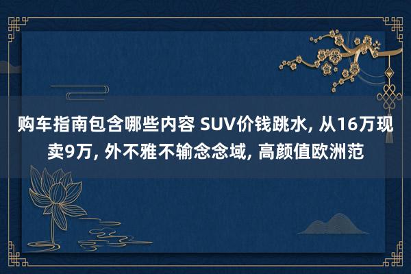 购车指南包含哪些内容 SUV价钱跳水, 从16万现卖9万, 外不雅不输念念域, 高颜值欧洲范