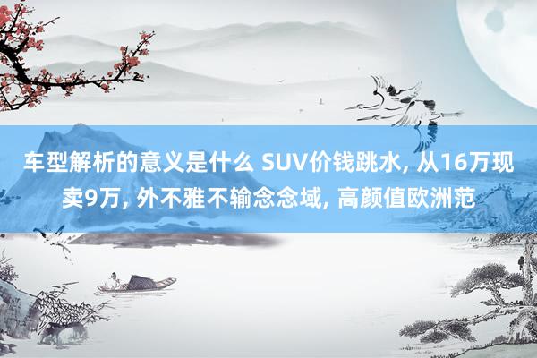 车型解析的意义是什么 SUV价钱跳水, 从16万现卖9万, 外不雅不输念念域, 高颜值欧洲范