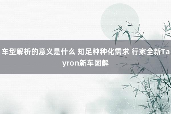 车型解析的意义是什么 知足种种化需求 行家全新Tayron新车图解