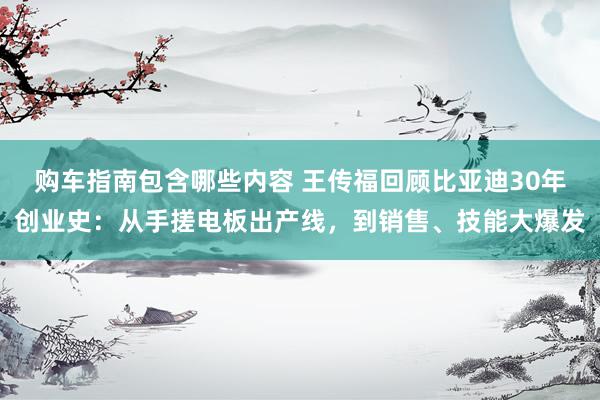 购车指南包含哪些内容 王传福回顾比亚迪30年创业史：从手搓电板出产线，到销售、技能大爆发