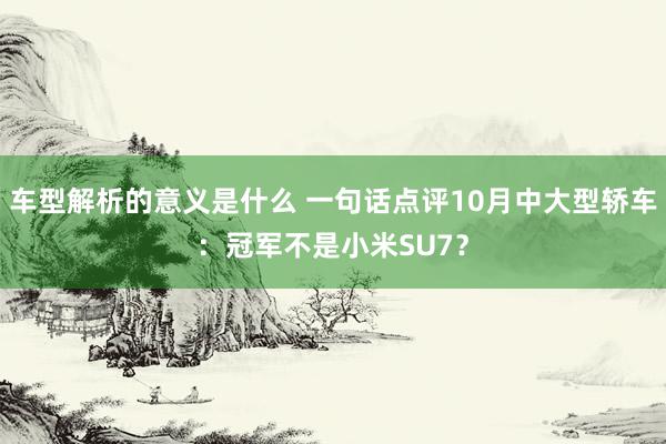 车型解析的意义是什么 一句话点评10月中大型轿车：冠军不是小米SU7？