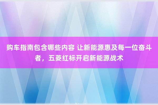 购车指南包含哪些内容 让新能源惠及每一位奋斗者，五菱红标开启新能源战术