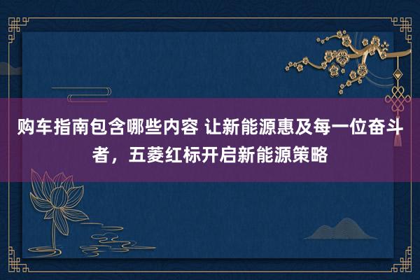 购车指南包含哪些内容 让新能源惠及每一位奋斗者，五菱红标开启新能源策略