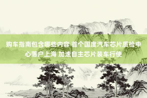 购车指南包含哪些内容 首个国度汽车芯片质检中心落户上海 加速自主芯片装车行使