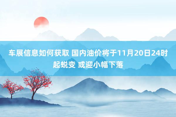 车展信息如何获取 国内油价将于11月20日24时起蜕变 或迎小幅下落