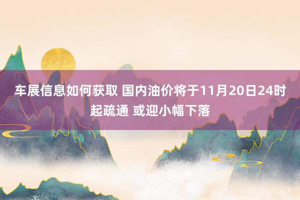 车展信息如何获取 国内油价将于11月20日24时起疏通 或迎小幅下落