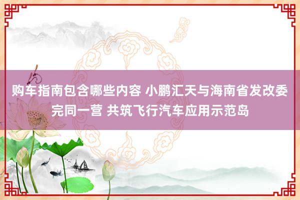 购车指南包含哪些内容 小鹏汇天与海南省发改委完同一营 共筑飞行汽车应用示范岛