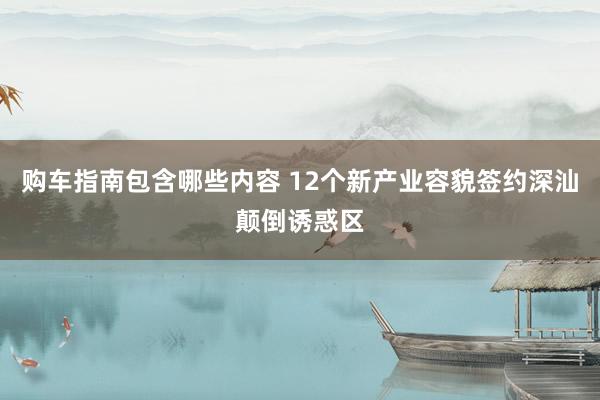 购车指南包含哪些内容 12个新产业容貌签约深汕颠倒诱惑区