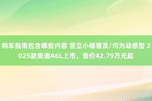 购车指南包含哪些内容 竖立小幅普及/均为动感型 2025款奥迪A6L上市，售价42.79万元起